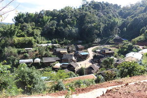 Nanzuo village in Jingmai mountain