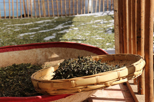 pu-erh tea maocha in a bamboo basket