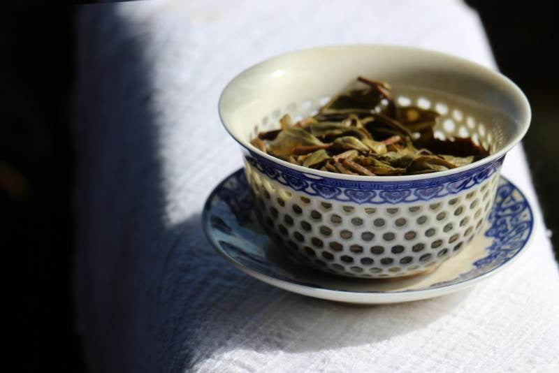 old-growth tea leaves in a beautiful gaiwan